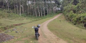 Touring Gunung Halimun: Serunya Jelajah “Sarang Macan Tutul” Bareng Healingers